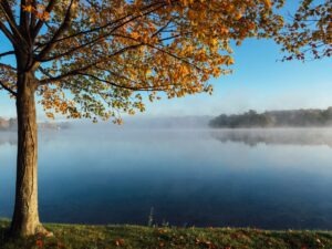 Michael Cunningham quote You cannot find peace by avoiding life — Shameless Voices
