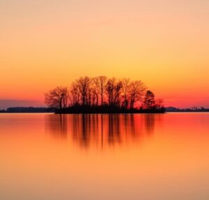 Small island of bare trees reflected on still water at amber sunset, still water at sunset, symbolizing a season of waiting